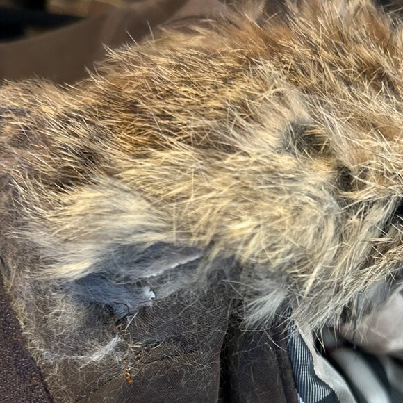 Burberry London Rabbit Fur Trimmed Stand Collar Tench Coat with Belt - Picture 8 of 11